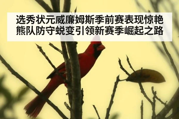 选秀状元威廉姆斯季前赛表现惊艳 熊队防守蜕变引领新赛季崛起之路